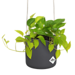 b.for swing 18cm anthracite